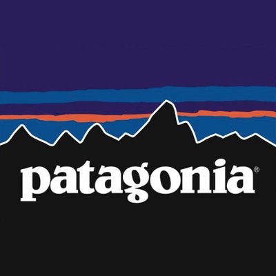 Patagonia Brand Case Study - Brand The Change